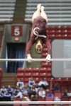 GYM_STATE gymnastics