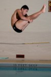 John Fannin, Portage diving