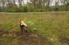 Valparaiso pushes back against invasive plants
