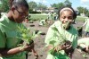 Volunteers from BP dig in at nature park