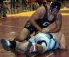 Chesterton's Harlow not your typical heavyweight