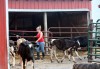 The drought's domino effect may eventually decrease dairy production