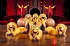 Cirque du Soleil