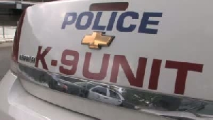 Canine units train in Hobart