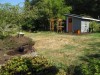 Care for dry grass now or replace it later