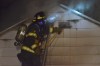 Champion show dogs killed in Cal Twsp. fire