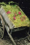 A good cart
