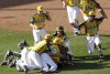 Little League World Series