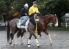 Belmont Stakes could be wet, wide-open race