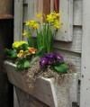 Window boxes are raised-bed gardening writ small