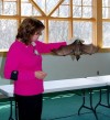Crete library offers program on bats