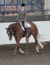Young equestrian takes top prizes