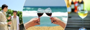 Lake Michigan Shore Wine Country
