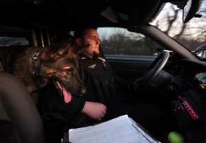 True blue on the street and at home: Police dogs earn their keep
