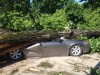 Residents, officials surveying damage in wake of Wednesday night storms