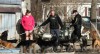 Police raid Chesterton-area home suspected of animal hoarding