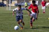 bsoc_noll_sec_KS011.jpg