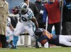 Jonathan Stewart, Chris Conte