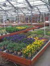 Alsip Home & Nursery