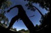 Masters Golf