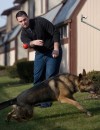 True blue on the street and at home: Police dogs earn their keep