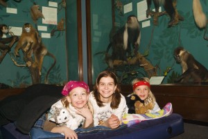 Dozin' with the Dinos: Kids can enjoy projects, workshops in popular overnight program at The Field Museum