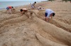 The art of sand sculpting
