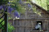 Story Barn