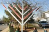 Hanukkah celebrates miracle of the lights during eight-day festival