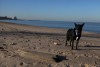 011212_weather_JM