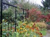 Secret Garden? Tips for creating backyard privacy