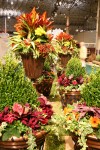 Chicago Flower and Garden Show