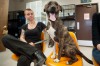 City humane officer ramps up care for abused, neglected animals
