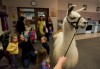This story time a breed apart