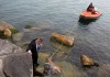 Deer drowns in Lake Michigan after rescue attempt