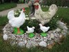 Rooster Reunion