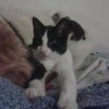 George