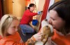 Store brings improvements to animal shelter