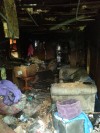 Champion show dogs killed in Cal Twsp. fire