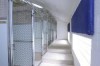 Boarding Kennels