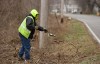 Cleaning up the trash