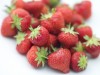 Sweet strawberries are celebrated in a popular region festival