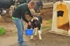 LaCrosse High School replanting ag program