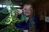_0593E_Holiday1_2012_FlowerCart_3283.JPG