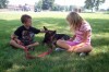 Lake County Animal Shelter