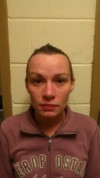 3 Gary residents face 11 felony counts in home invasion