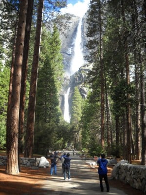 Even urbanites can navigate a park like Yosemite
