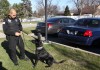 Django, partner ready to collar criminals