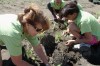 Digging in