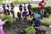 Calumet City celebrates Earth Day